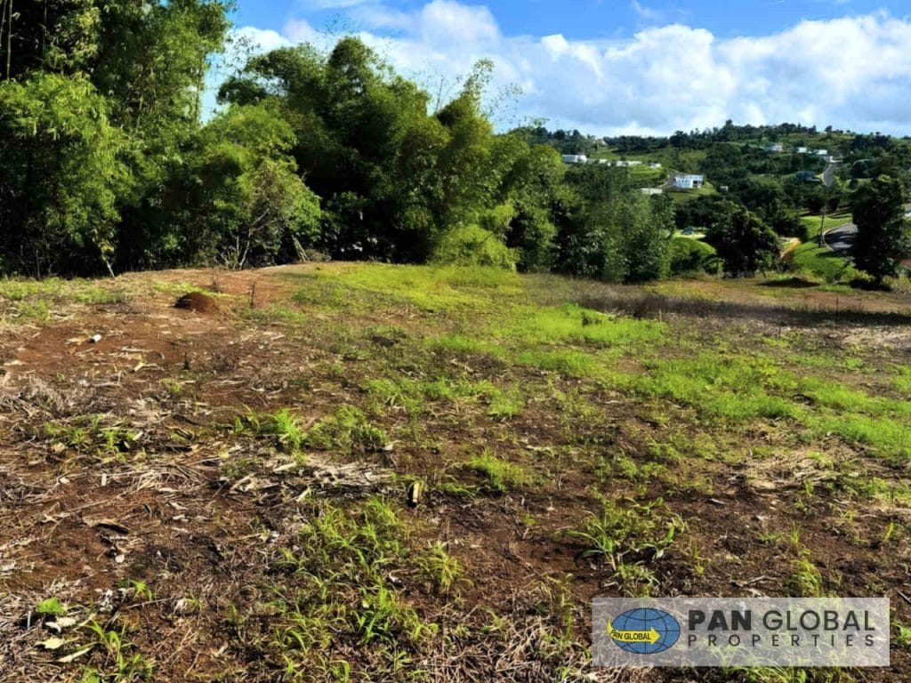 Land for Sale – Nuwara Eliya