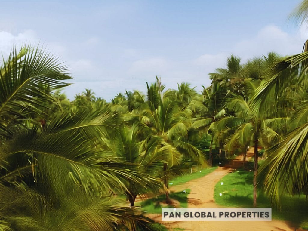 Estate for Sale – 30 Acres in Kurunegala